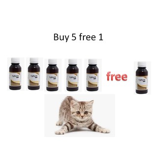 READY STOCK ~ UPHAVIT Multivitamin For Cat 120 ML + Syringe 3 ML 