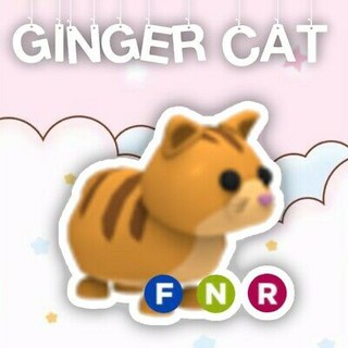 Roblox Adopt Me Rare Nfr Ginger Cat Promo Fast Delivery Shopee Malaysia - ginger cat roblox