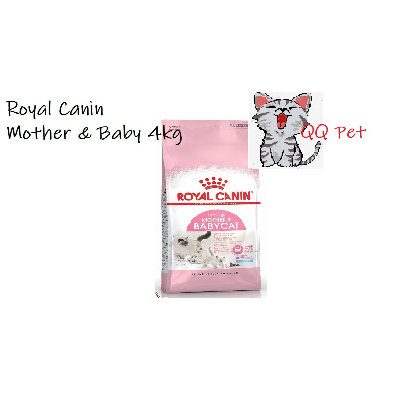 royal baby cat