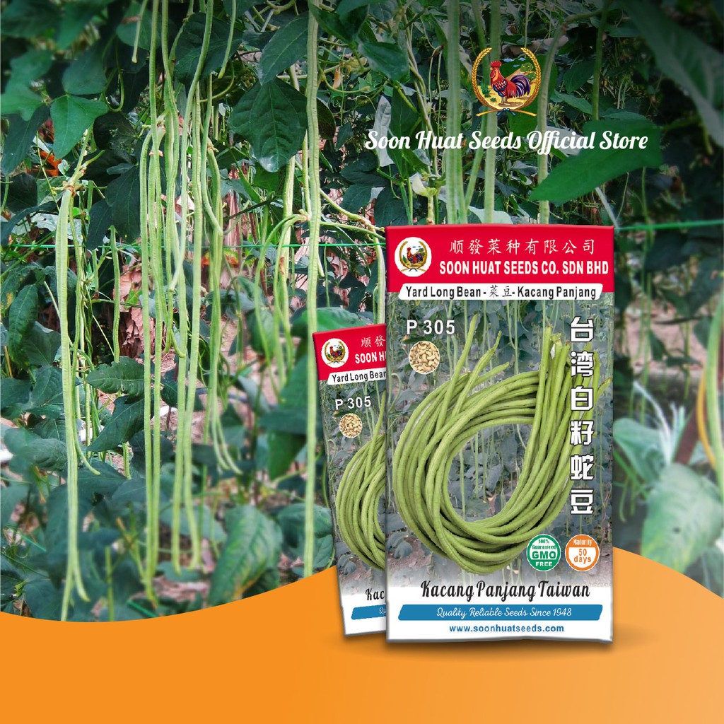 Long Bean Kacang Panjang 300g Airasia Grocer