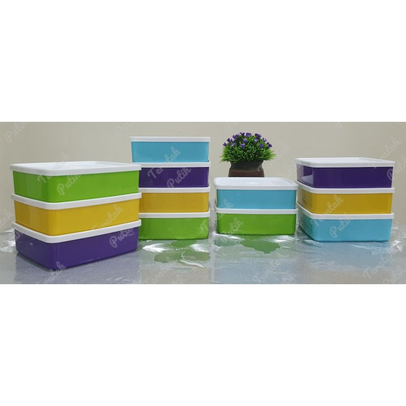 READY STOCK - TUPPERWARE - LARGE SQUARE AWAY 620ml - Individual Item