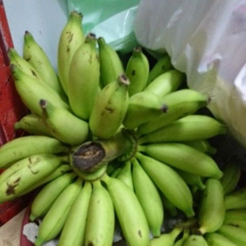 Buy Anak Pokok Pisang Lemak Manis Seetracker Malaysia