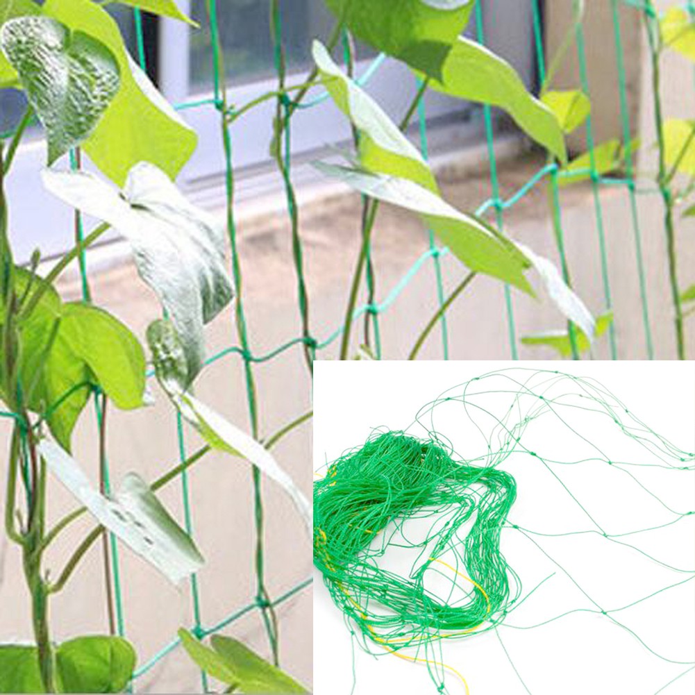 Nylon Trellis Netting Climbing Plant Support Nets Garden Vines Grow