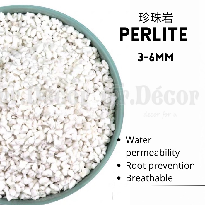 1L PERLITE STONE BONSAI SUCCULENT CACTUS SOIL BATU TANAH GARDENING 珍珠岩