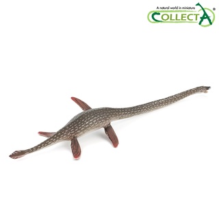 collecta - Prices and Promotions - Mar 2023 | Shopee Malaysia