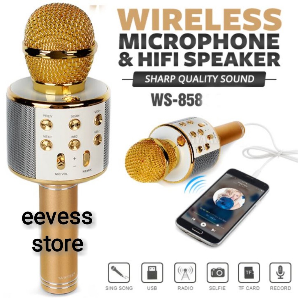 wster wireless microphone hifi speaker