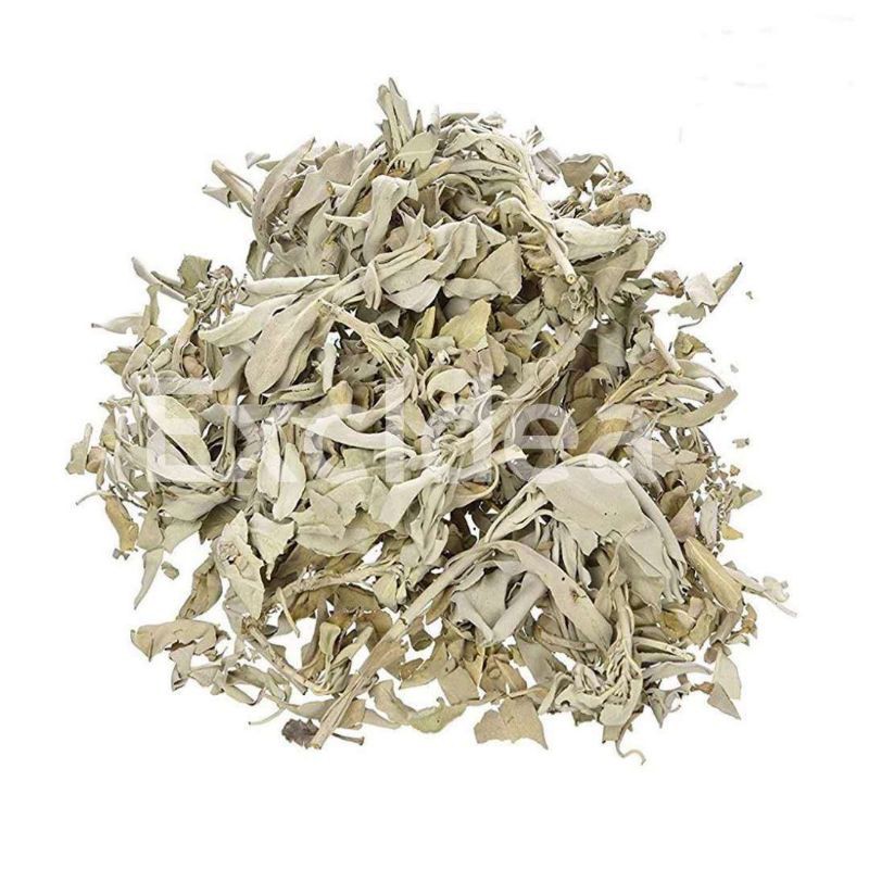 Dried Sage Leaves (100g) Shopee Malaysia