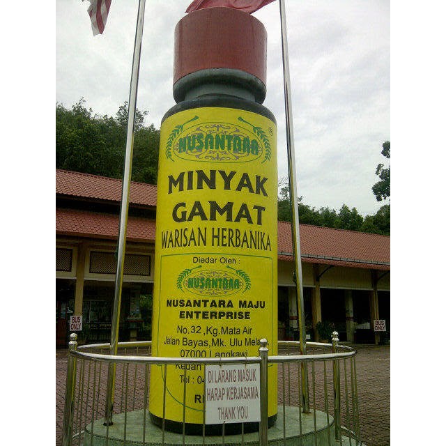 minyak gamat asli langkawi