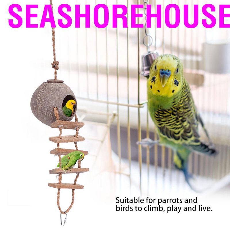 Seashorehouse Natural Coconut Shell Bird Nest Pet Parrot Cute House With Rope Ladder 2 Sizes Shopee Malaysia