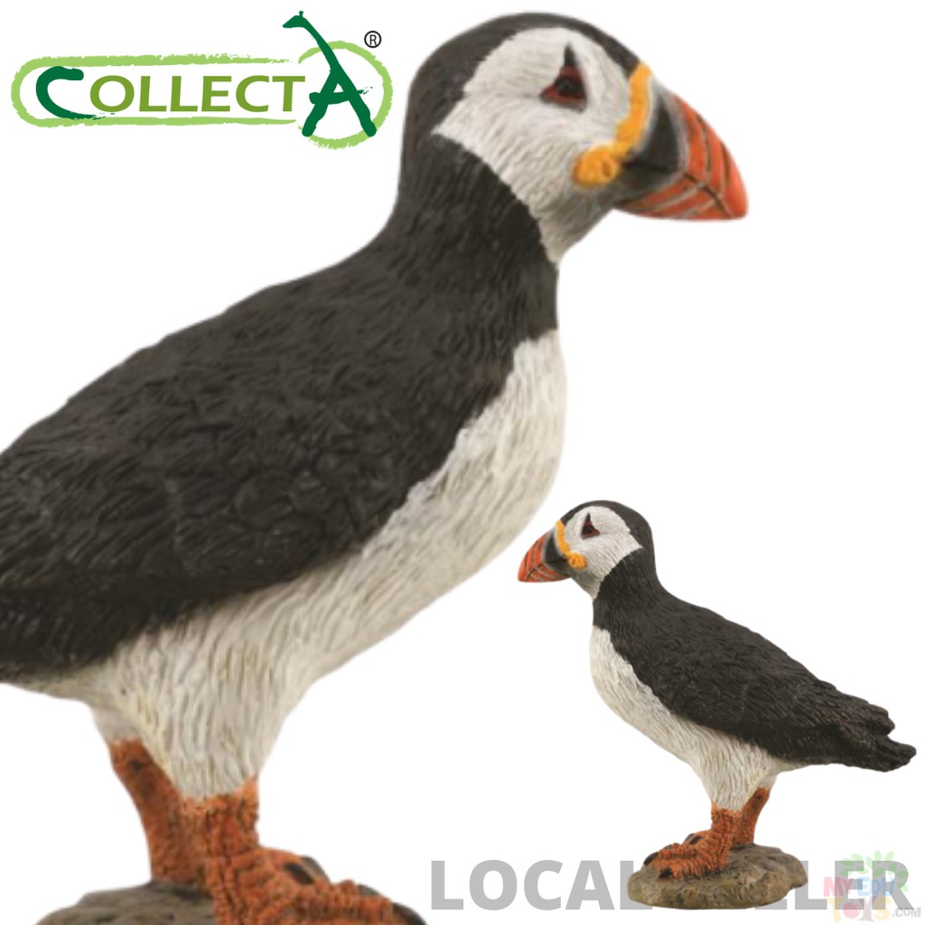 Puffin - CollectA 88895 Ocean & Sea Birds Wild Life Animal Action Figures / Toys Figurine Collection For Boys & Girls