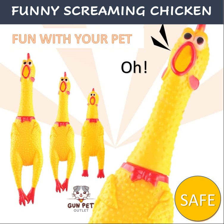 Cat Roy Teaser Mainan kucing Trumpet screaming chicken Mainan Ayam Menjerit Pet Fun Pla…