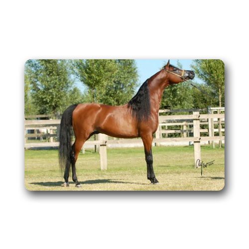 Arabian Horse Custom Outdoor Indoor Doormat Shopee Malaysia
