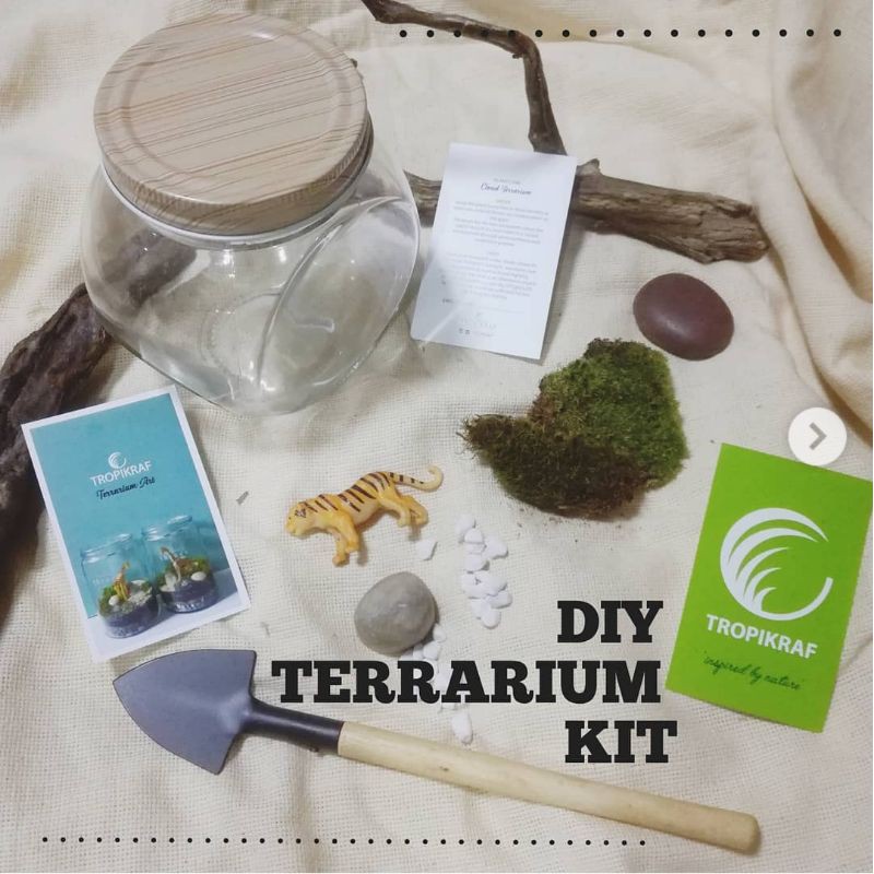 Terrarium DIY Kit/Terrarium kit/DIY Terrarium Shopee Malaysia