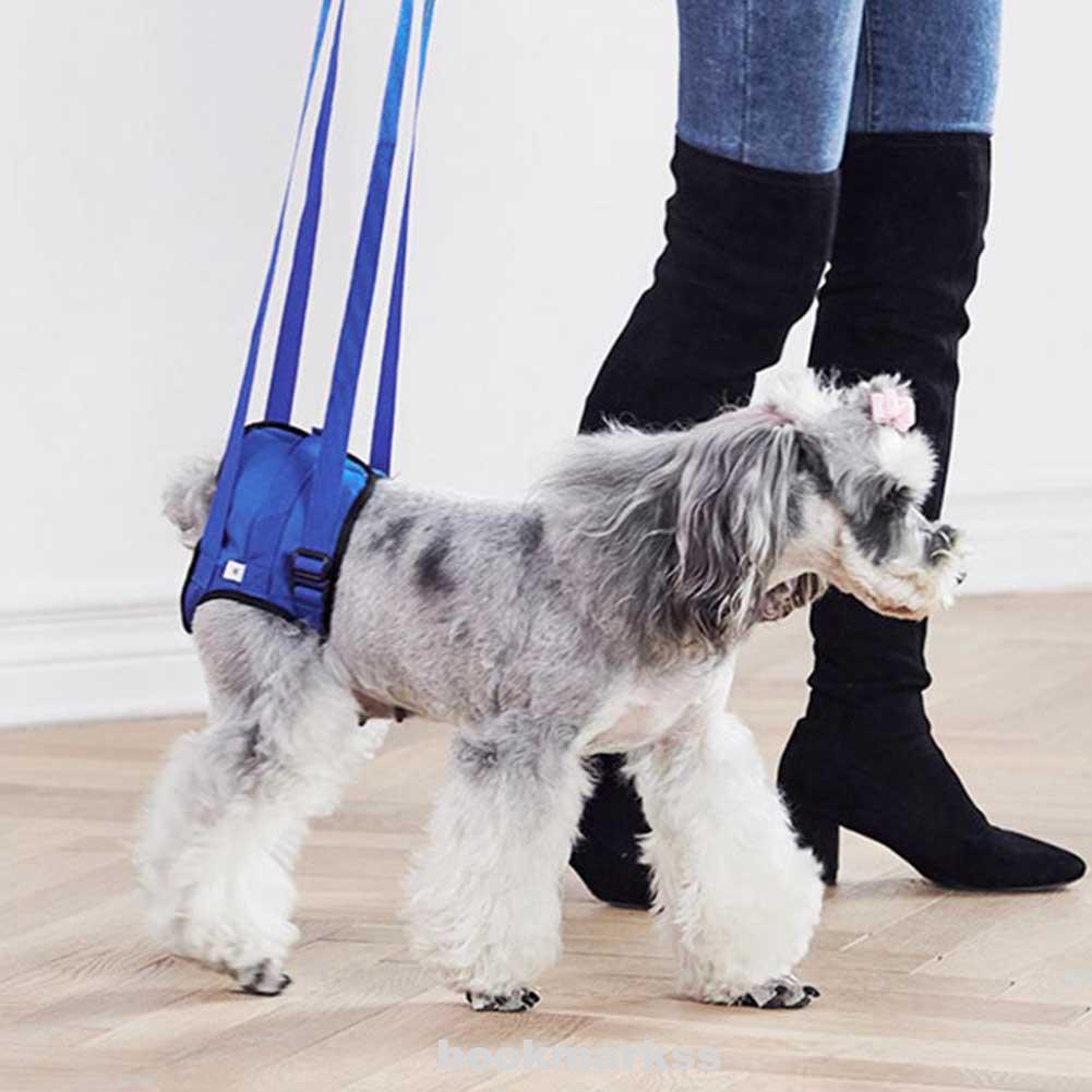 dog carrying harness