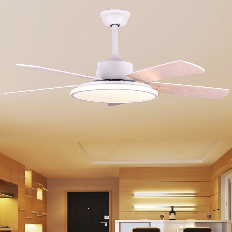 Ceiling Fan Lamp Living Room Dining Room Nordic Modern Minimalist