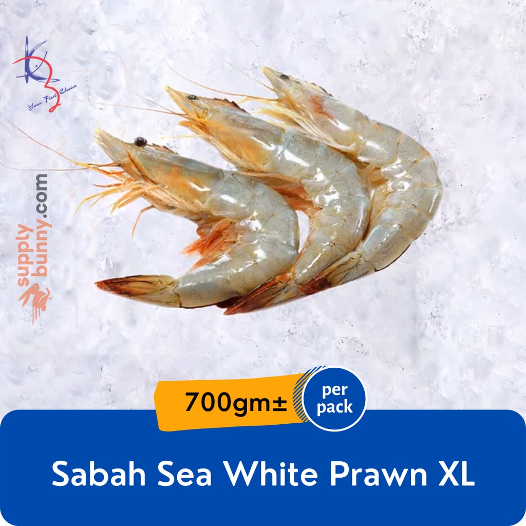 Sabah Sea White Prawn (XL) 10-14pcs 700g± (sold per pack) 沙巴明虾 Udang Laut Putih - Kaizer Frozen Seafood