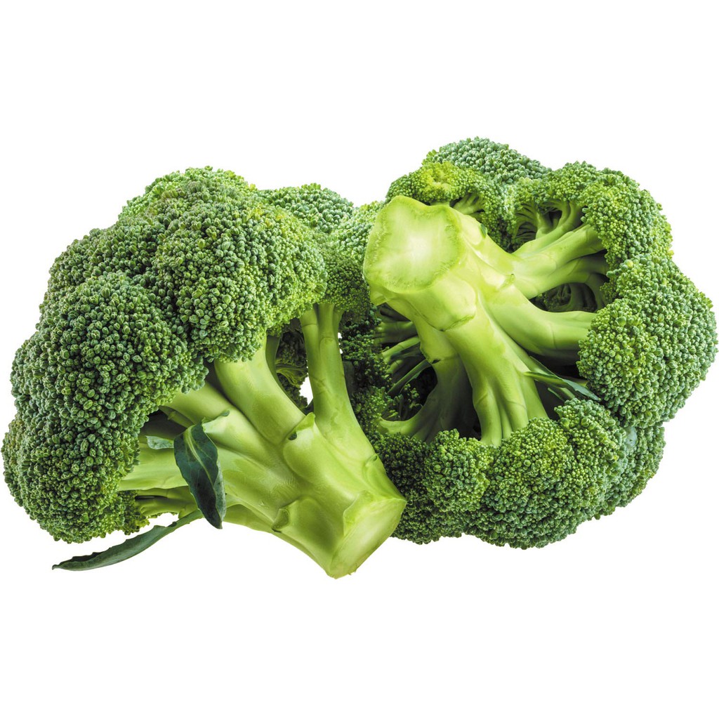 Biji  Benih Brokoli  15 seeds Broccoli Seed vegetable   Biji  Benih Brokoli  15 seeds Broccoli Seed vegetable