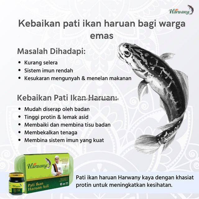 Harwany Pati Ikan Haruan Asli 6 1 Malaysia