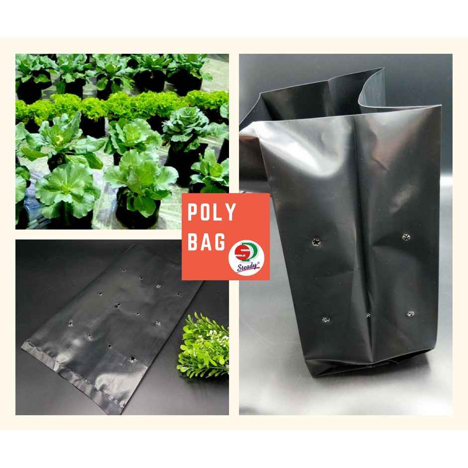 Plantation Nursery Poly Bag (BB) Shopee Malaysia