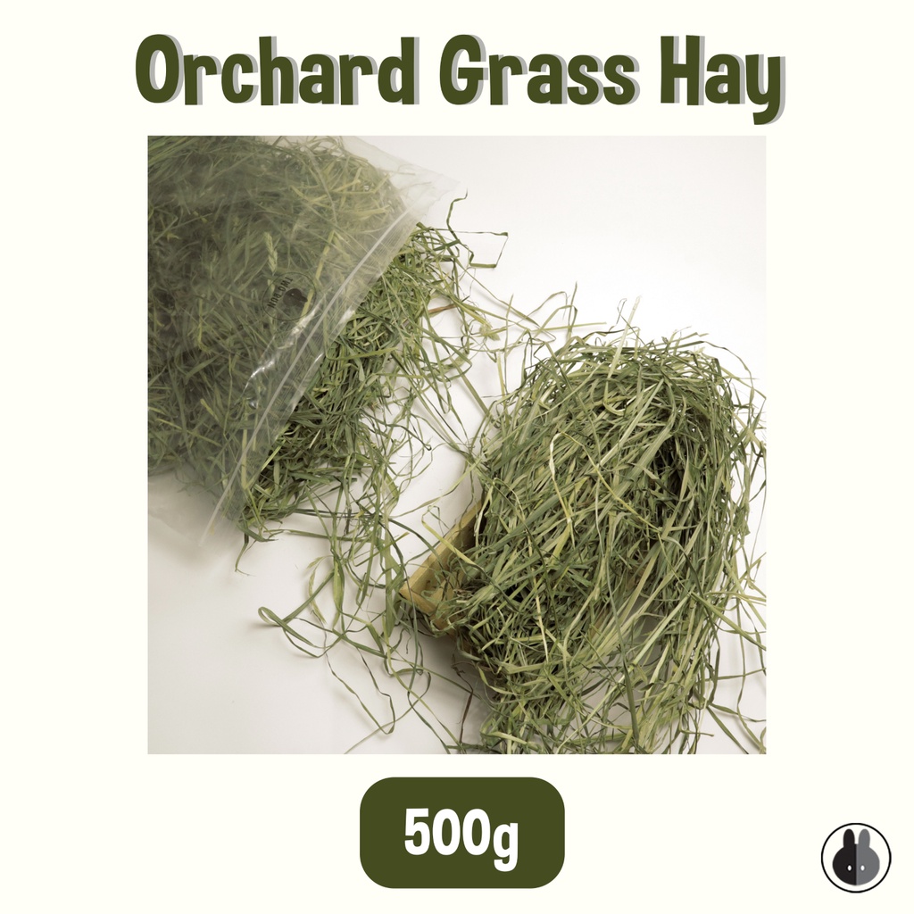[READY STOCK] Orchard Grass Hay 500g (Suitable for rabbits, chinchillas
