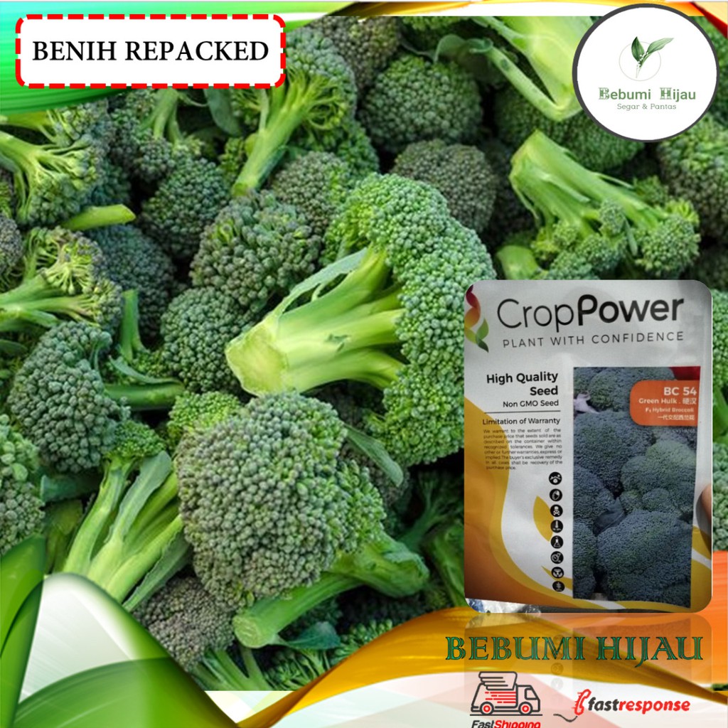 10 biji  benih BROKOLI  BROCCOLI seeds hijau Shopee Malaysia 10 biji  benih BROKOLI  BROCCOLI seeds hijau Shopee Malaysia