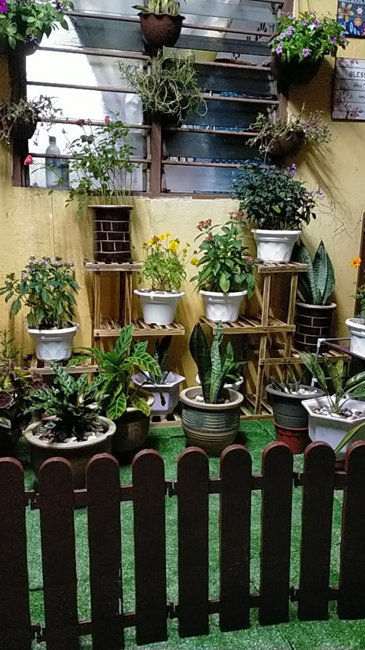 Indoor wooden rak  pasu  bunga  fower pot basic Shopee Malaysia 