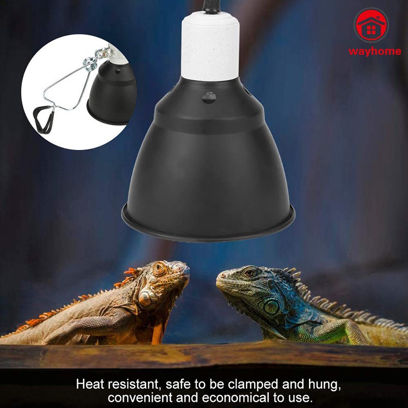 reptile light hanger