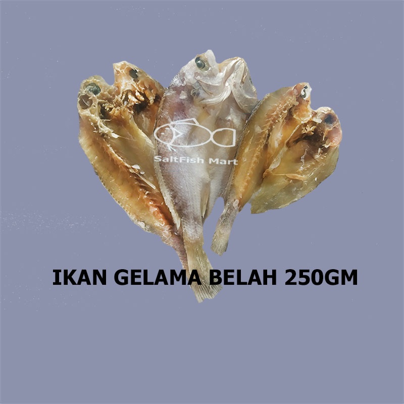 Buy Saltfish Mart Ikan Gelama Belah 250gm Seetracker Malaysia