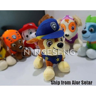 ryder soft toy