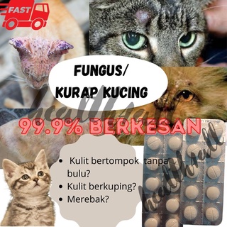 10 Biji  Ubat Kurap Fungus Kucing rawatan Kurap Fungus Kucing 
