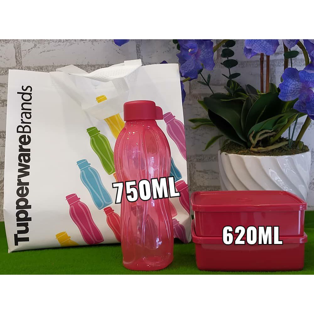 Hot Daftar Ahli Tupperware Keahlian Seumur Hidup Freegift Lumayan Dari Hq Dan Kami Shopee Malaysia