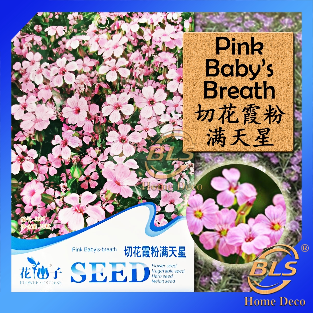 Buy J007 Pink Baby S Breath Flower Goddess Vegetable Flower Fruit Herb Seed Seetracker Malaysia