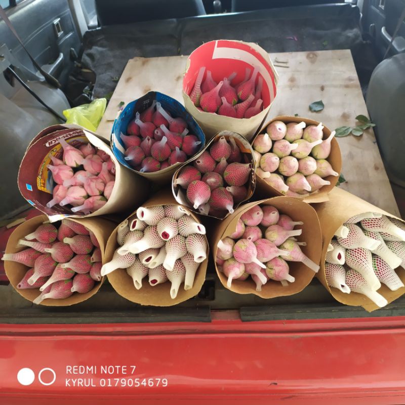 ?Ready Stock ? Roses ?10-20stalks? Fresh Flower From Cameron Highlands ?? Bunga Segar