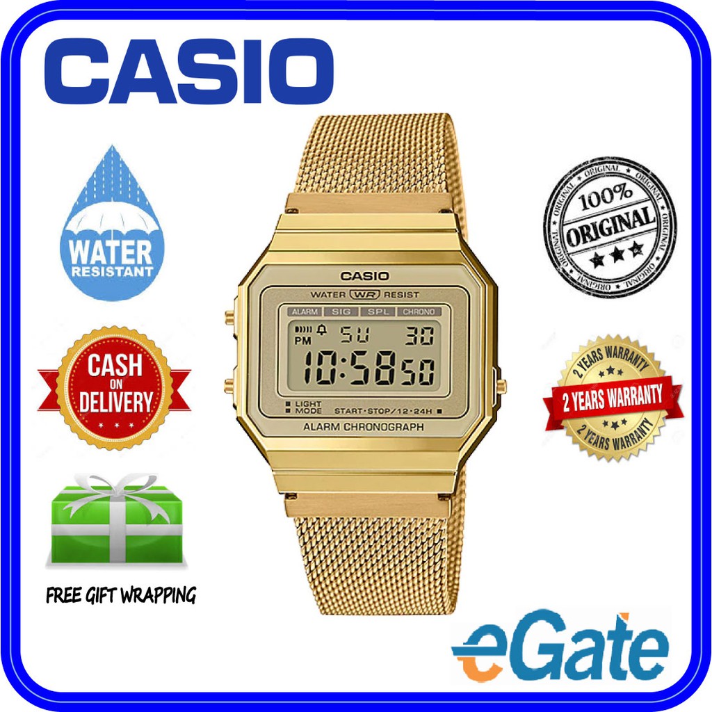 casio mesh band