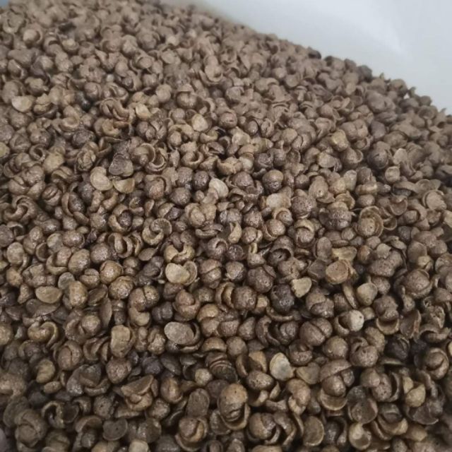 Mini choco crips 10kg / 1ctn | Shopee Malaysia