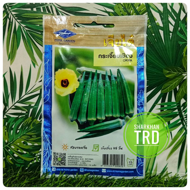 Paket 75 Biji (Seeds) OKRA Chia Tai Home Garden Biji Benih Kacang Bendi Premium Okra Seeds Thailand Ready Stock.