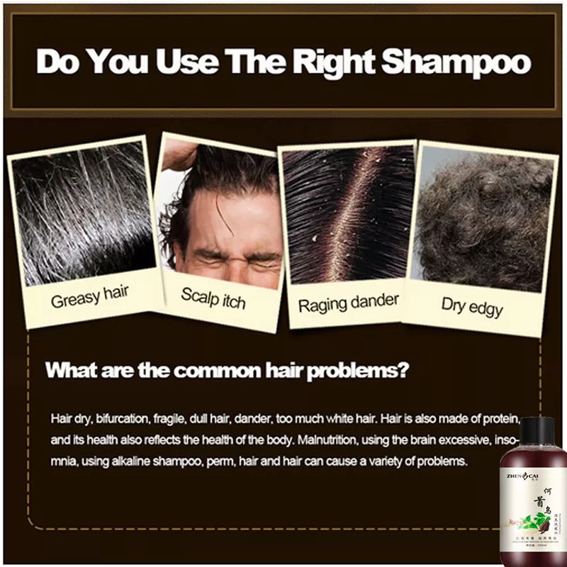 ZYa7 Zhen CAI - Polygonum multiflorum shampoo Nourishing black Hair shampoo  Chinese herbal white hair & grey hair Treat | Shopee Malaysia