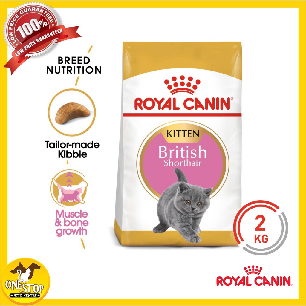 royal canin british shorthair kitten