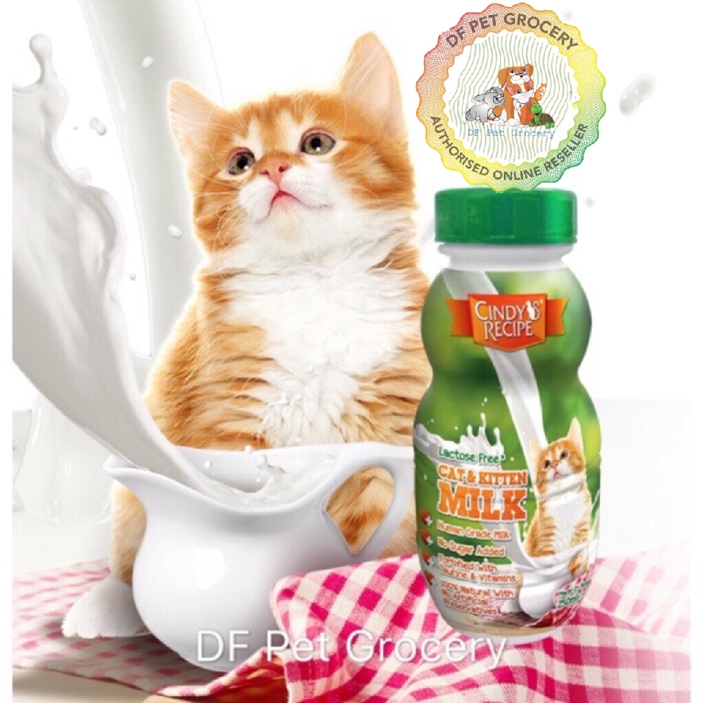 Cindy Recipe Lactose Free Cat Kitten Milk 250ml Cindys Recipe Milk Shopee Malaysia