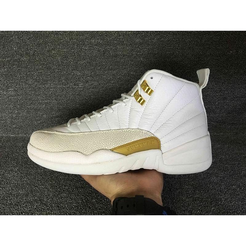 jordan 12 shoes for men