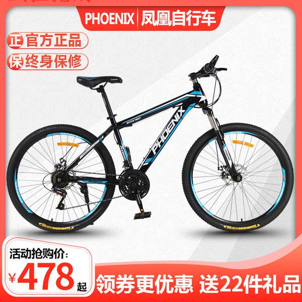 adult womens bicycle