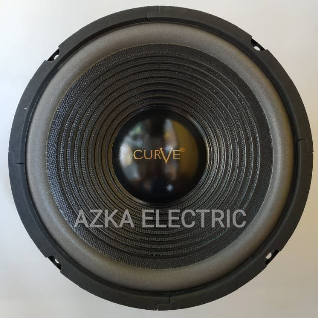 10 inch woofer speaker