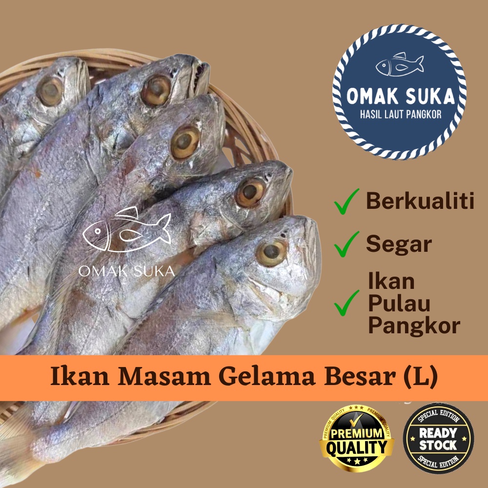 Ikan Gelama Masam Besar Saiz L 5a 250g Segar Ikan Masin Gelamah Masam