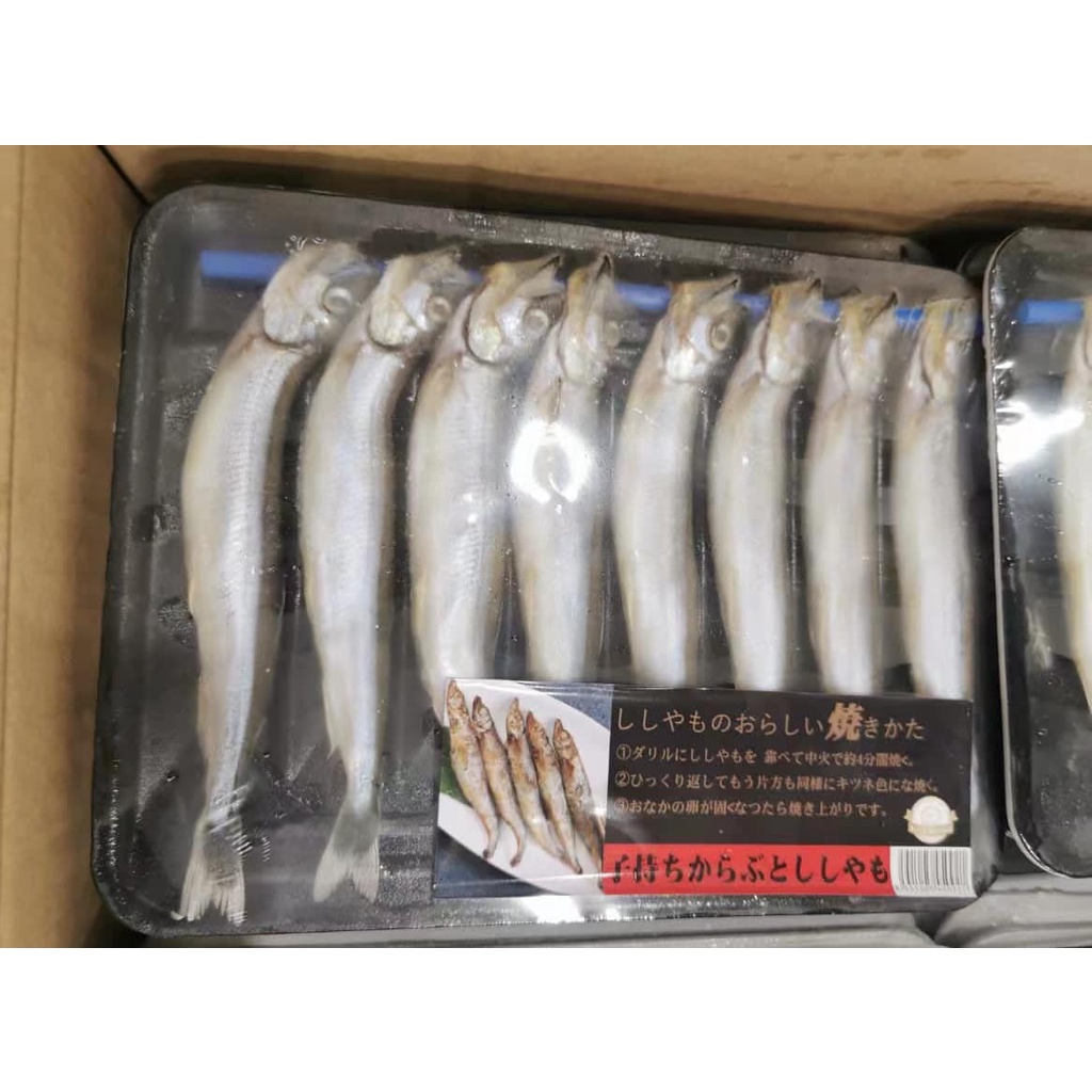 Ready Stock 日式多春鱼 Japanese Shishamo Capelin Fish 150g Shopee Malaysia