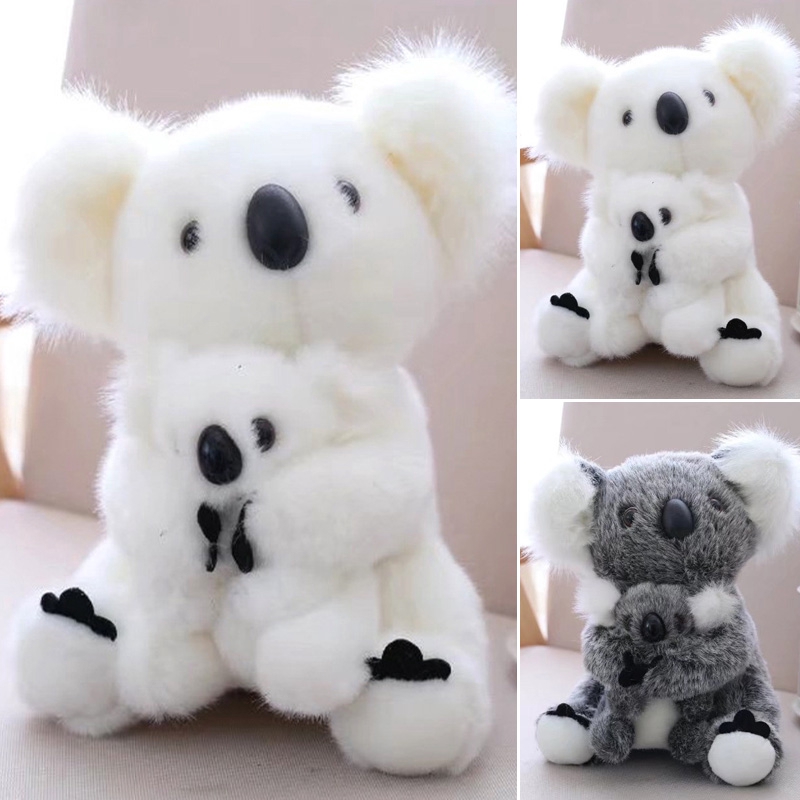 teddy koala bear