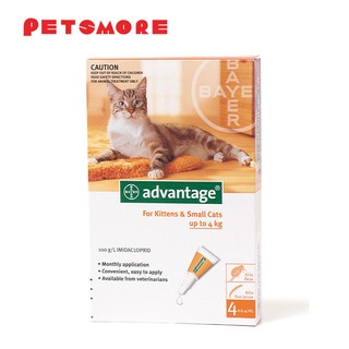 CHUN Essentio Aromatherapy Calm u0026 Relax Cats and Dogs Shampoo 