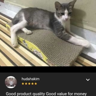  Tempat Cakar Kucing  Pengasah Kuku Kucing  Cat scratches 