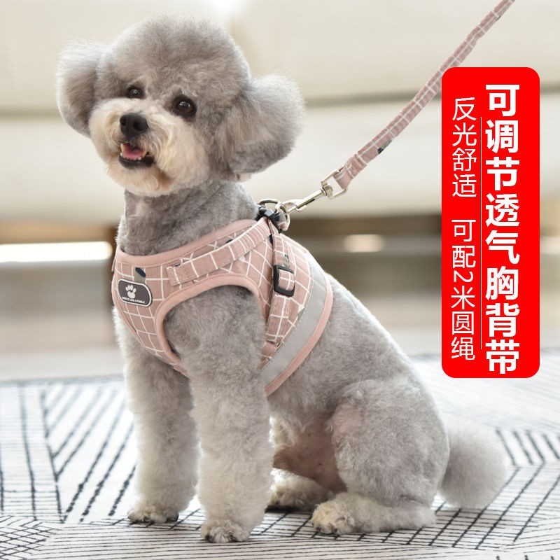 好物推荐 宠物牵引绳 Pet Leash狗狗牵引绳泰迪狗绳博美狗链子小型犬背心式遛狗绳胸背带宠物用品 Uyh2498 My Shopee Malaysia