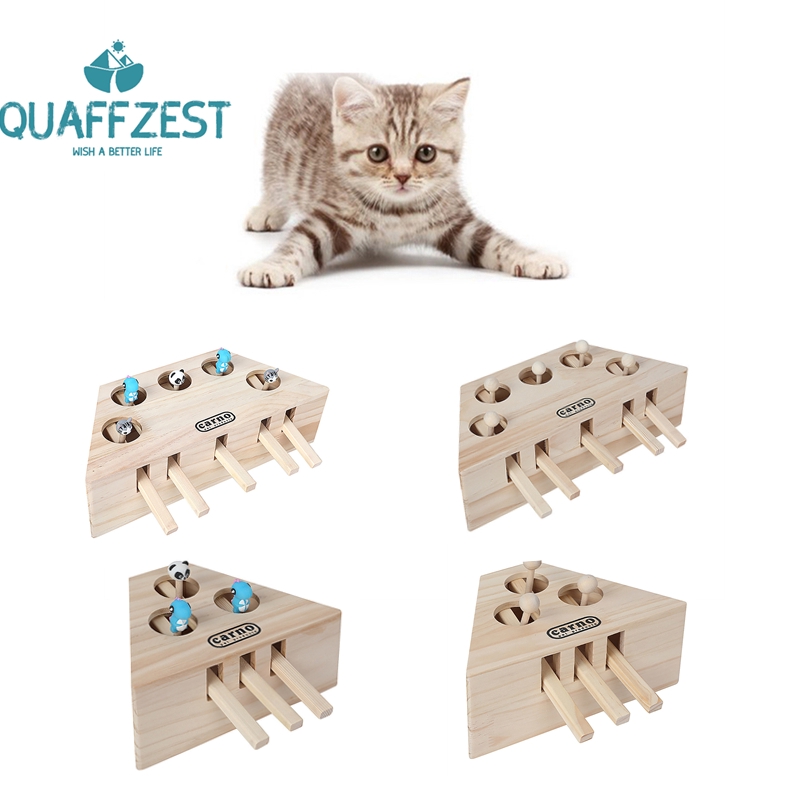cat hunt toy