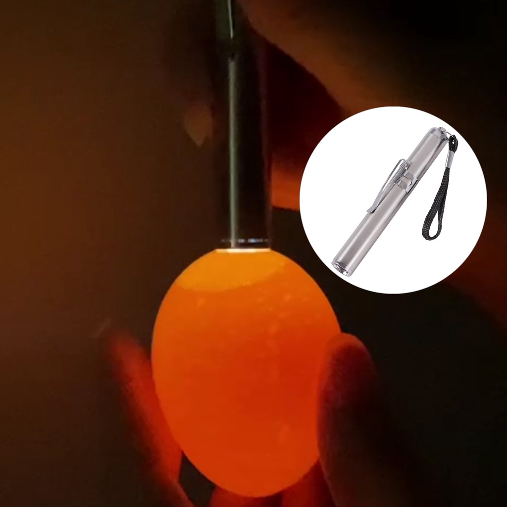 Incubator Eggtester Egg Candling Lamp LED Super Cold Equipment Stainless Steel Mini Keychain Poultry Incubation Flashlight